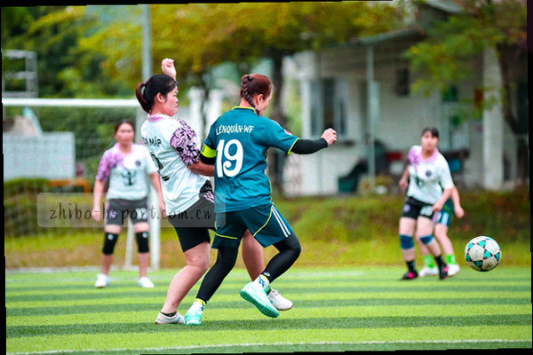 多个几何多边形重叠，代表团队协作与专业连接